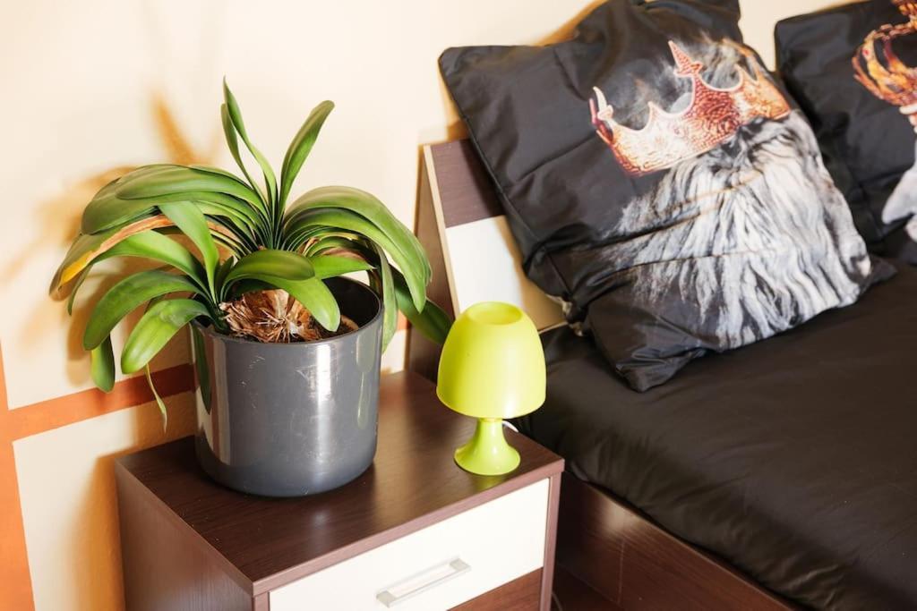 - 3-Bedroom Apartment Luxury: Central & Spacious In Duisburg & Big Tv And Kitchen - Exterior photo